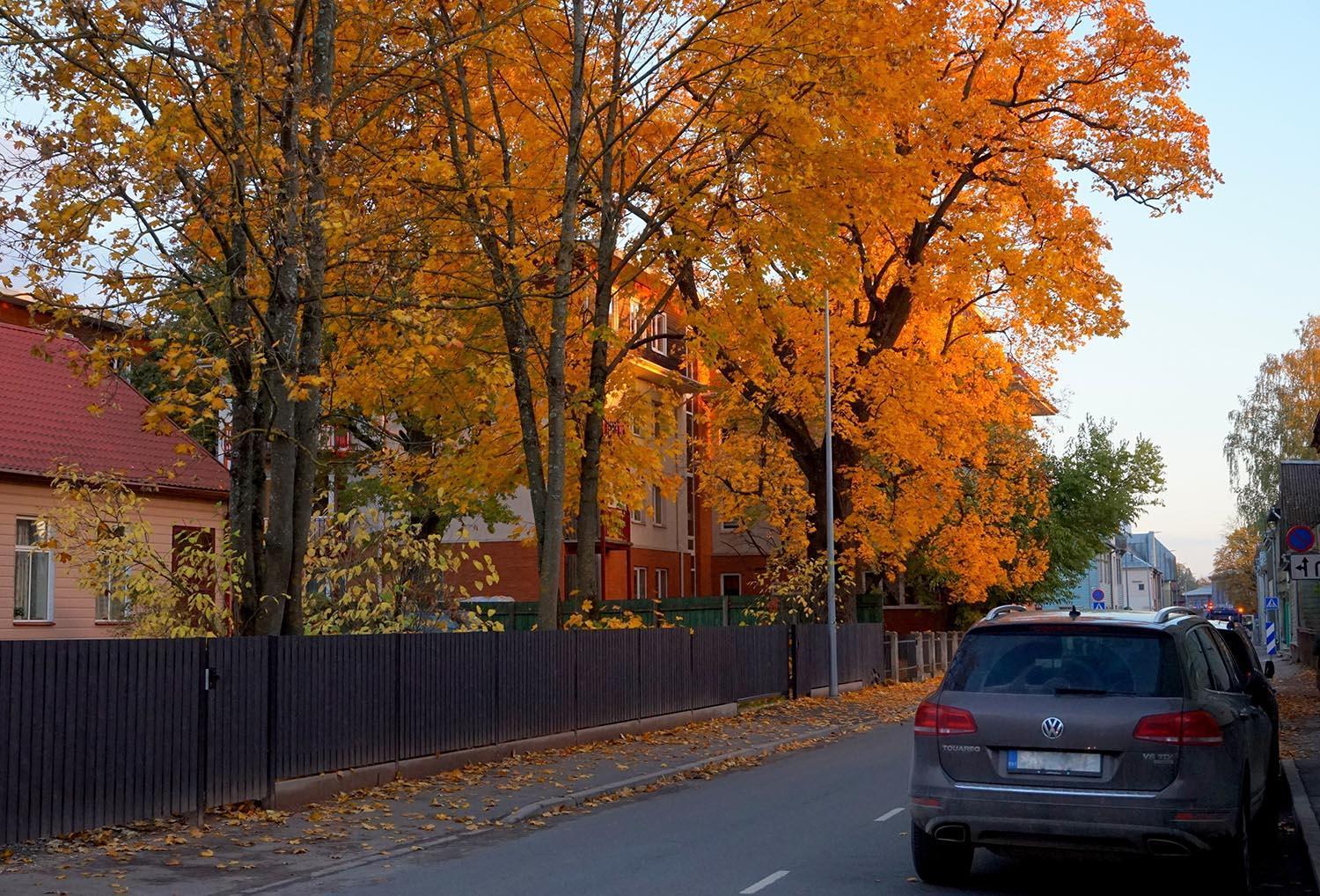 Quiet Romantic Studio Plus Parking, Tartu Home Exterior foto