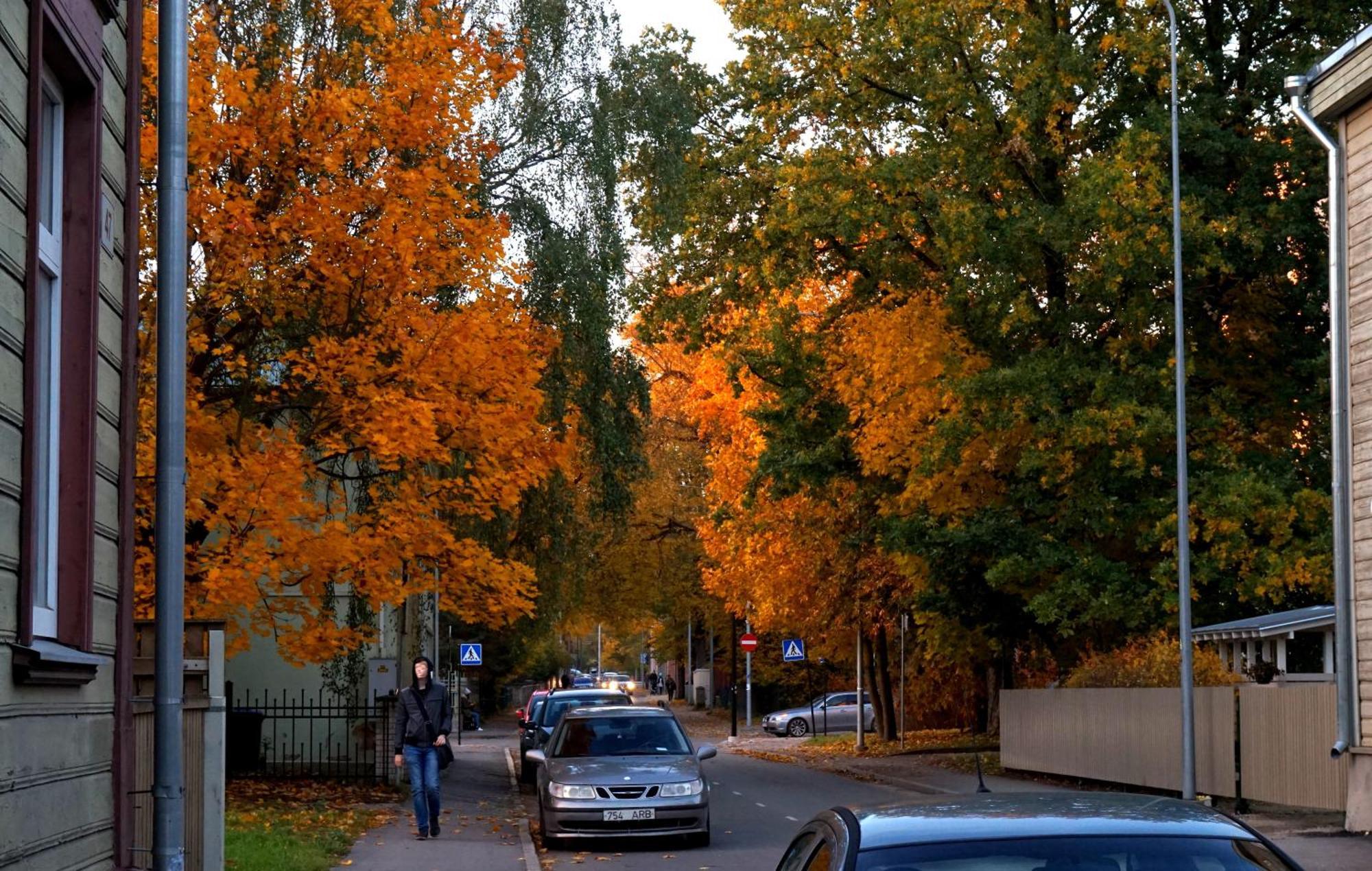 Quiet Romantic Studio Plus Parking, Tartu Home Exterior foto